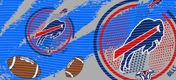 16oz team-NFL 2993